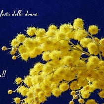 Auguri a tutte le donne, 365 giorni all'anno!! Buona Festa Della Donna! - Torrone Candy