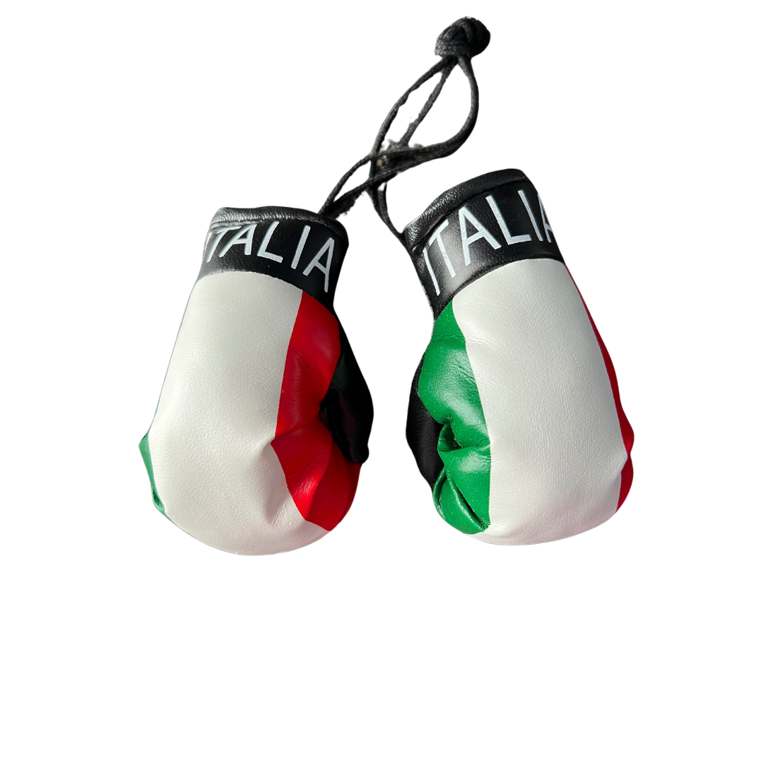 Italia Boxing Gloves