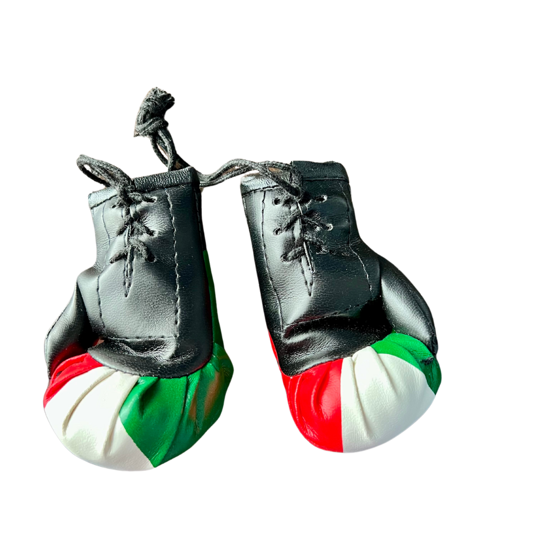 Italia Boxing Gloves