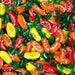 Bulk - Cedrinca Sicilia Hard Candies - Torrone Candy