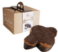 Gluten Free Chocolate Covered Colomba - Torrone Candy