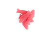 Kolsvart Raspberry Candy Fish - Sweden - Torrone Candy